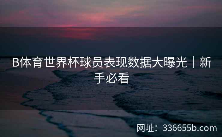 B体育世界杯球员表现数据大曝光|新手必看 第2张 B体育世界杯球员表现数据大曝光|新手必看 第2张