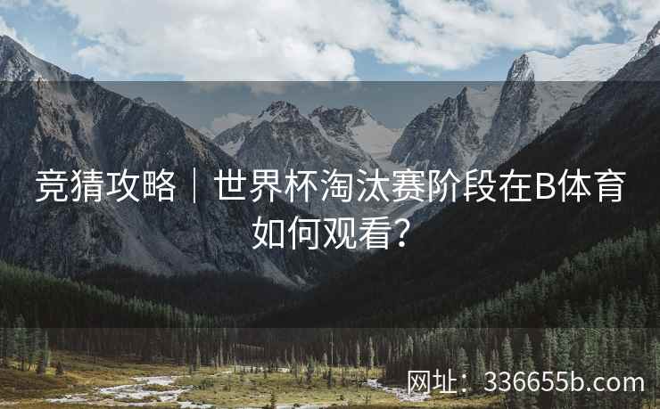 竞猜攻略|世界杯淘汰赛阶段在B体育如何观看?
