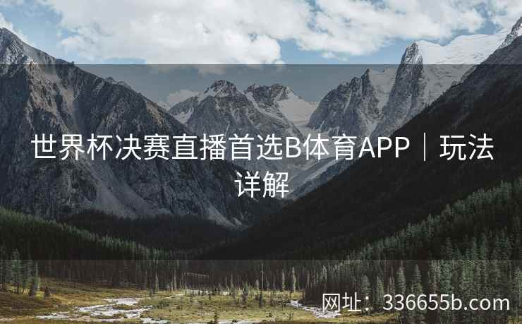 世界杯决赛直播首选B体育APP|玩法详解