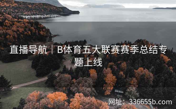 直播导航|B体育五大联赛赛季总结专题上线