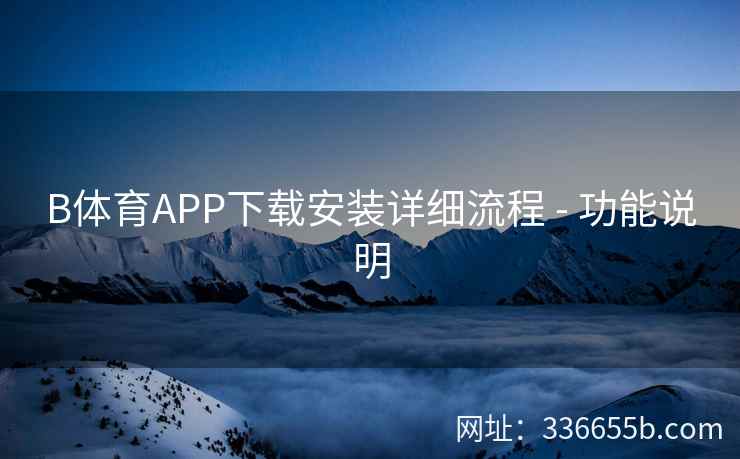 B体育APP下载安装详细流程 - 功能说明