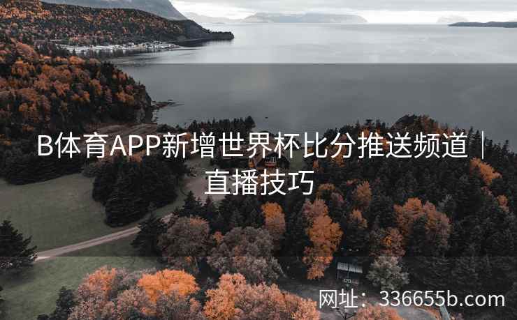 B体育APP新增世界杯比分推送频道|直播技巧