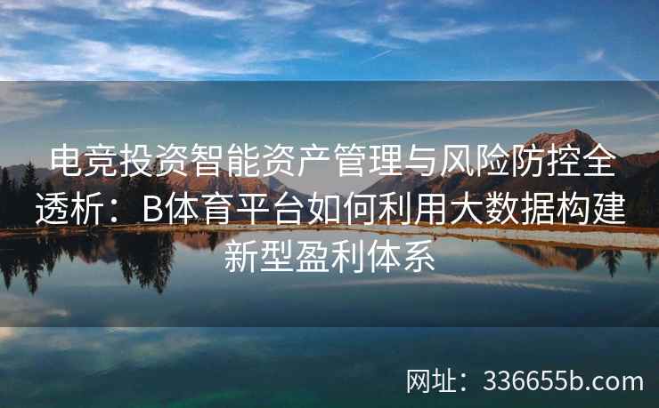 电竞投资智能资产管理与风险防控全透析：B体育平台如何利用大数据构建新型盈利体系